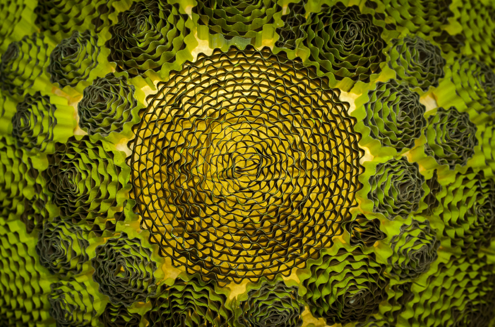 trying to get my senses back