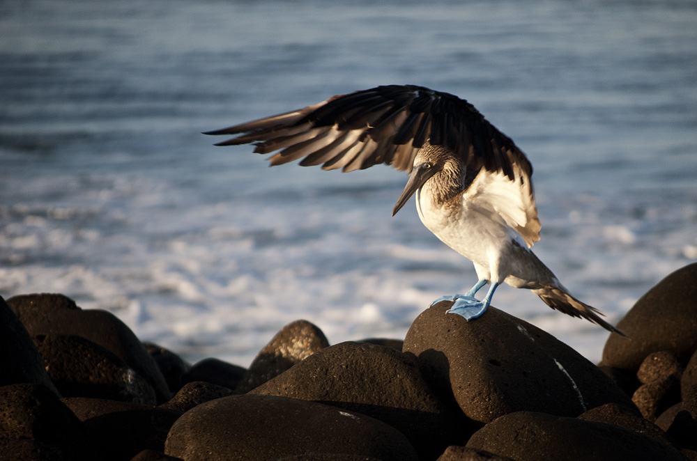 trying to rid you from my bones