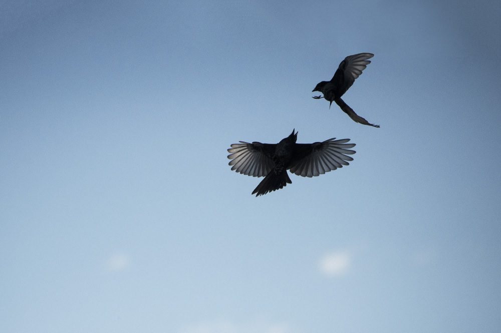 when you move i move with you