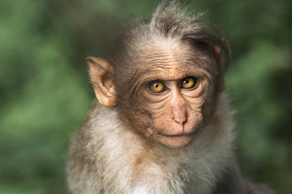 while you wait on the answers