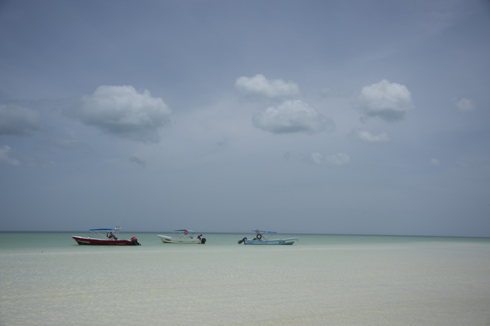 a picture of success