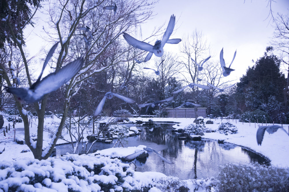 before the mystery ends