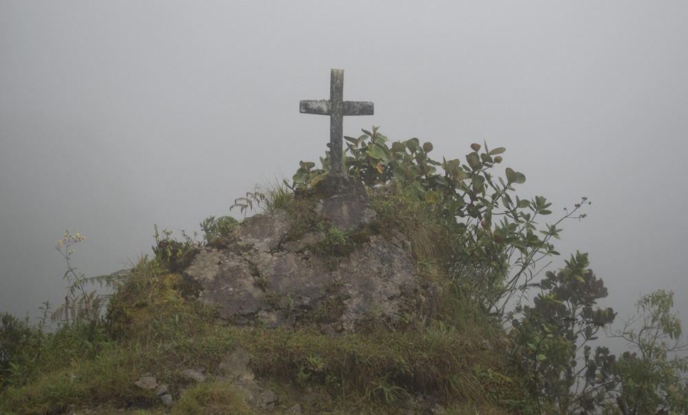 this place smells of death