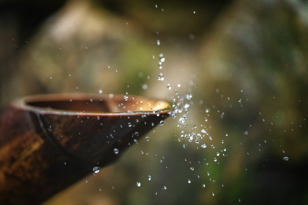 drowning butterflies