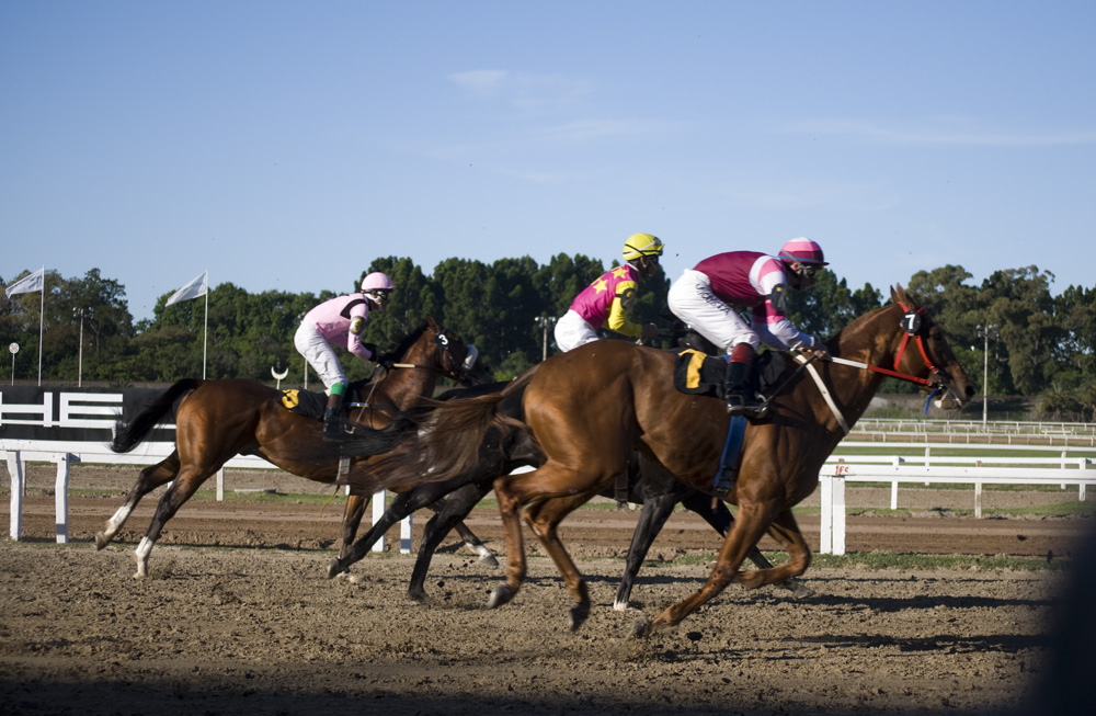 gran premio nacional