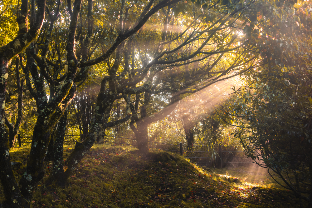 if it feels like hope, it is