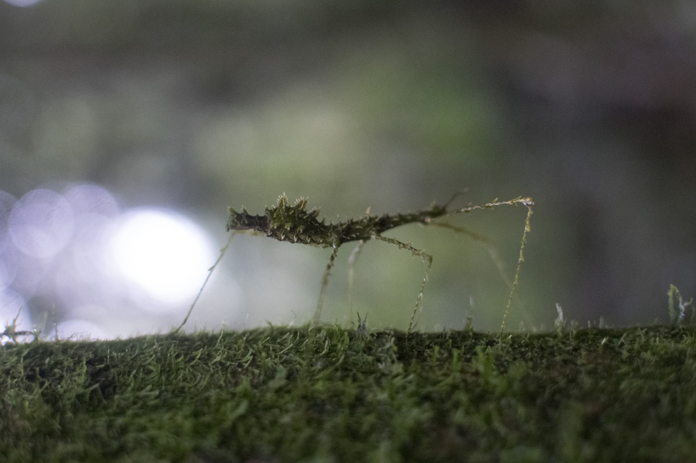 i'm hiding out where you can't see