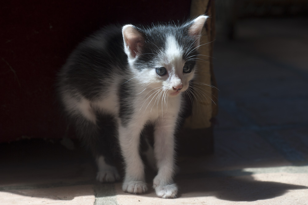 i'm in your possession