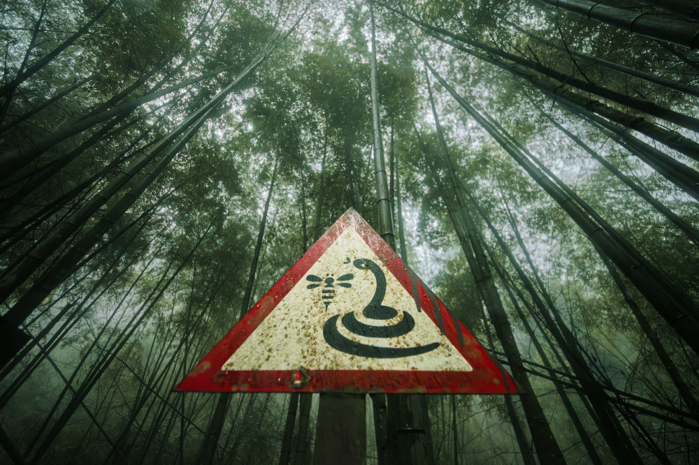 in competition for the worst first line you could use