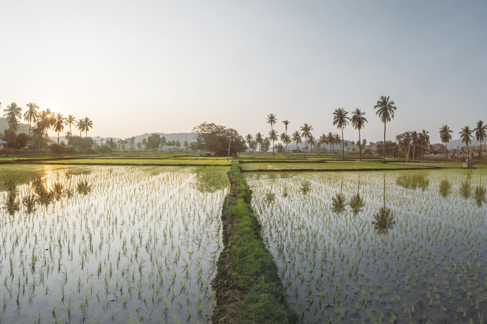 it's in your heart now