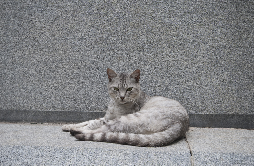 i want to give him pain