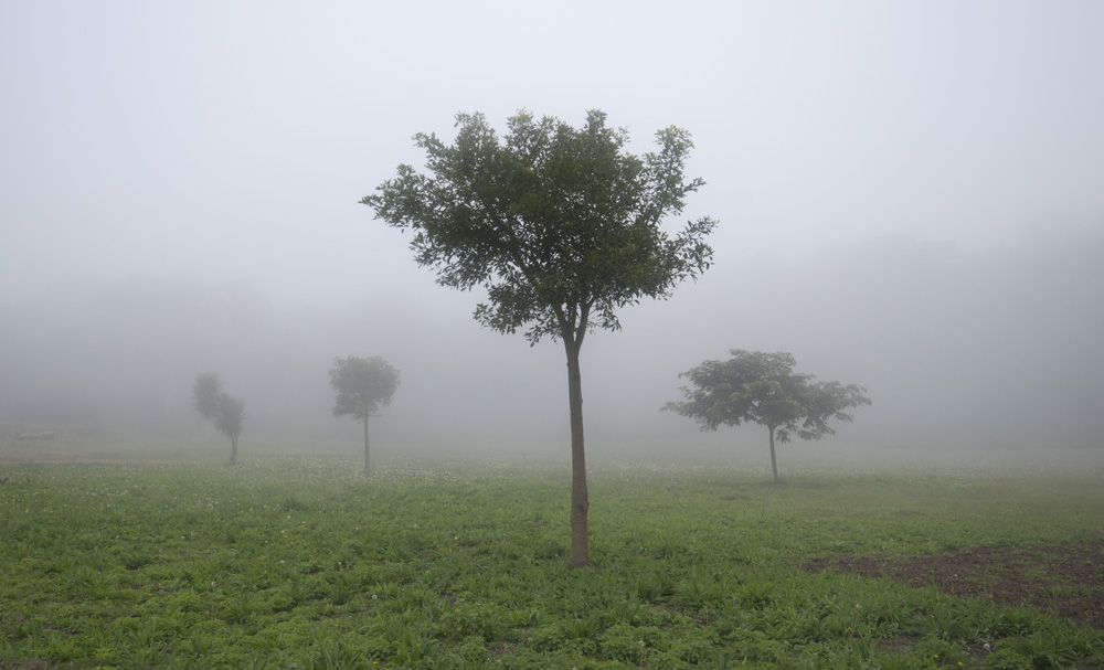 let loss be your guide