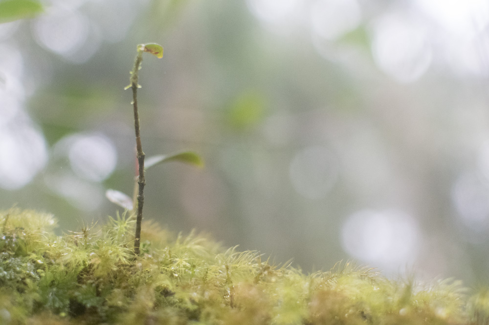 may you never feel this alone