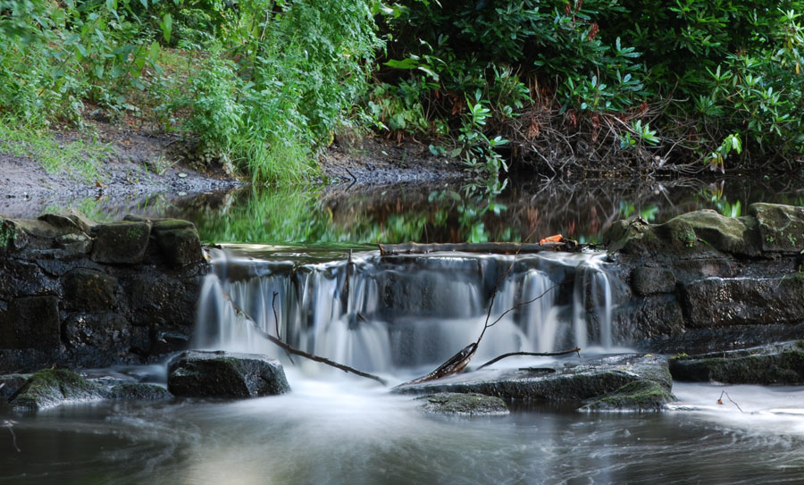 meanwood beck