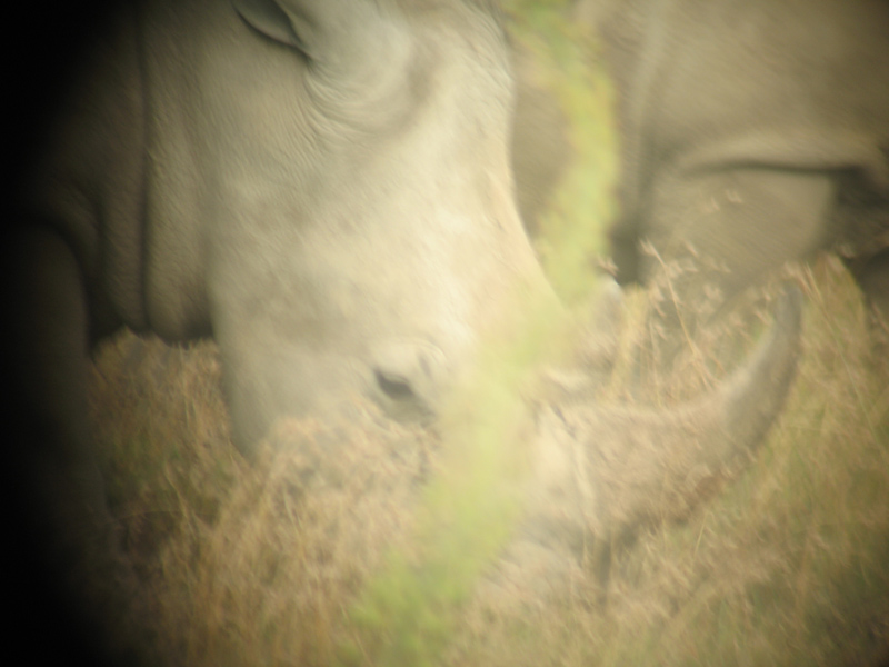 rhinoculars