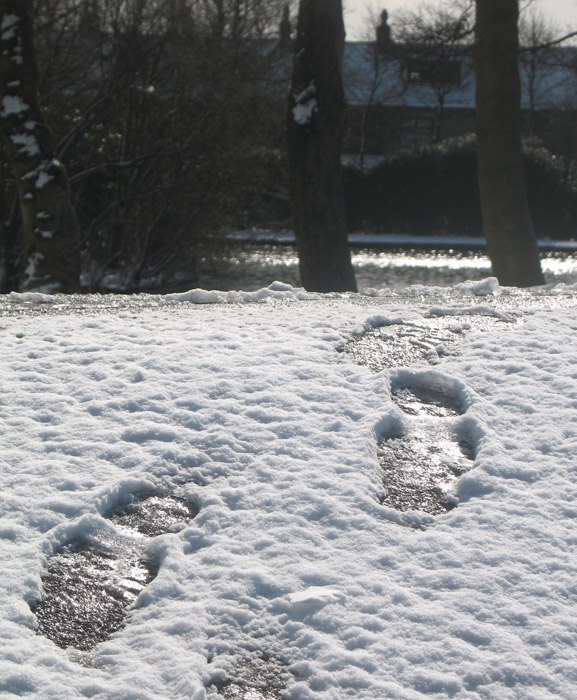 snow prints