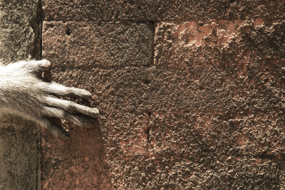 the movement of a hand