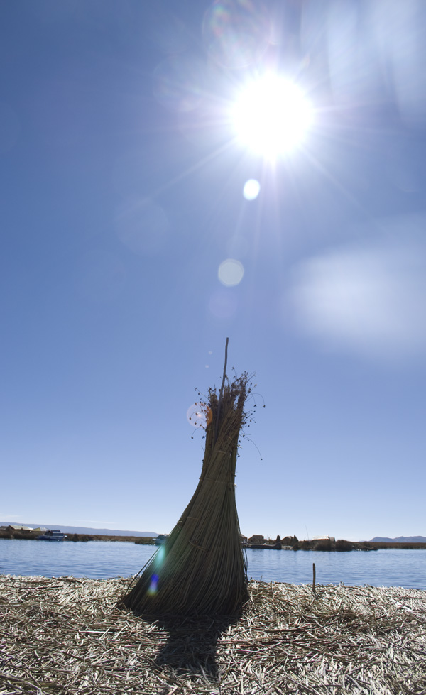 the sun and the reeds