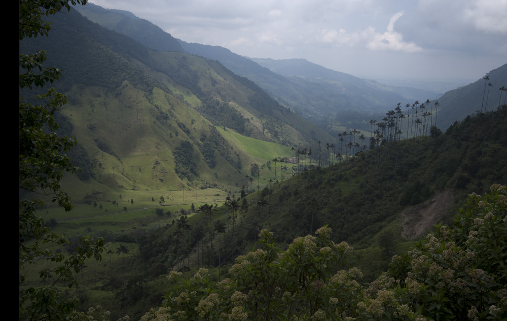 where the sleeping old bears breathe