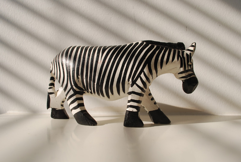 zebras ever tell you...